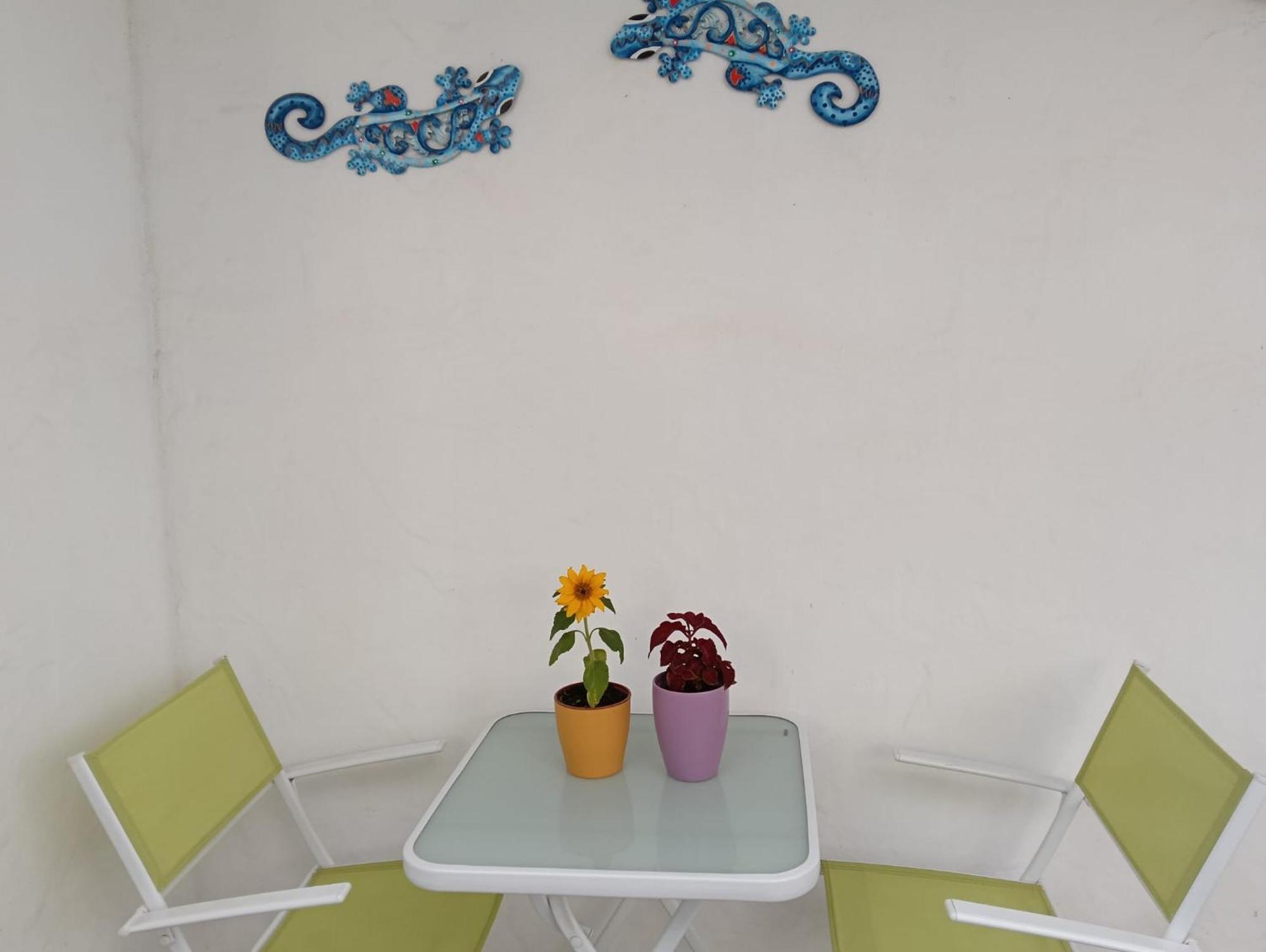 Appartamento Las Palmas 타라할레호 외부 사진